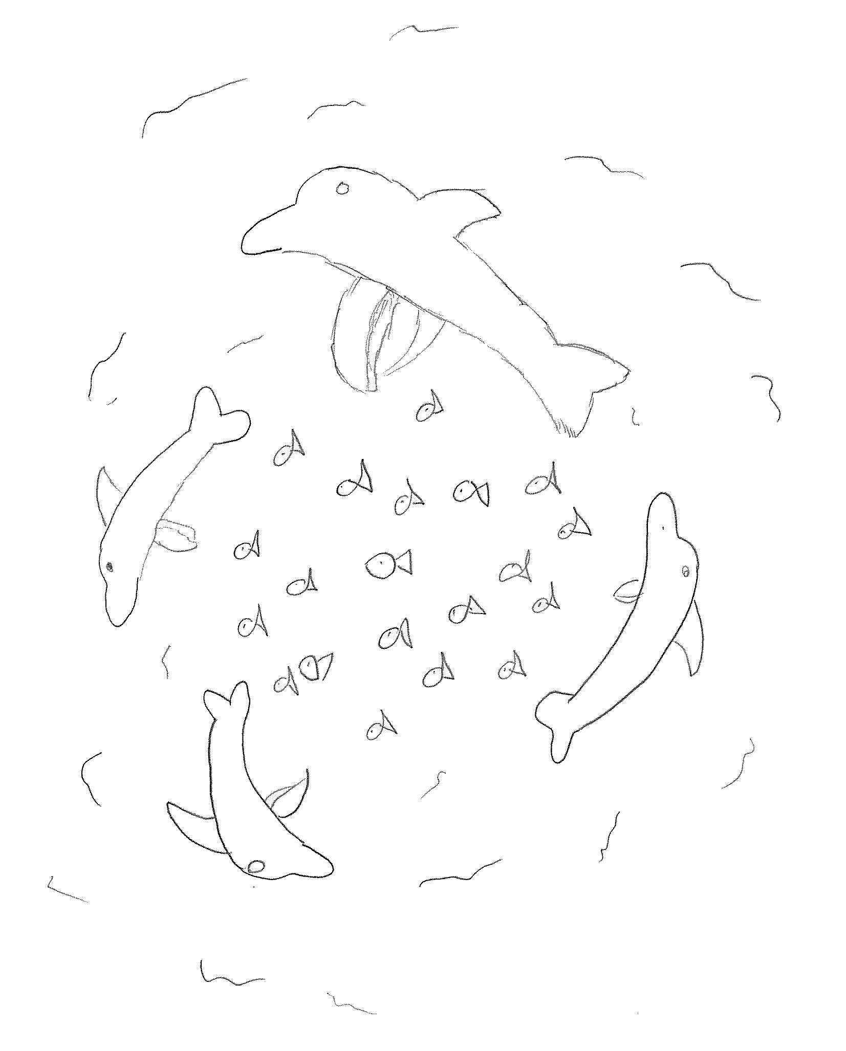 dolphin1
